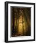 Undergrowth-Norbert Maier-Framed Photographic Print