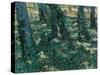 Undergrowth-Vincent van Gogh-Stretched Canvas