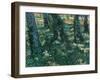 Undergrowth-Vincent van Gogh-Framed Giclee Print