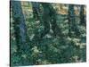 Undergrowth-Vincent van Gogh-Stretched Canvas