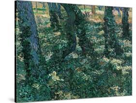 Undergrowth-Vincent van Gogh-Stretched Canvas