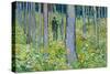 Undergrowth-Vincent van Gogh-Stretched Canvas