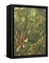 Undergrowth-Eliot Hodgkin-Framed Stretched Canvas