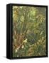 Undergrowth-Eliot Hodgkin-Framed Stretched Canvas