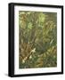 Undergrowth-Eliot Hodgkin-Framed Giclee Print