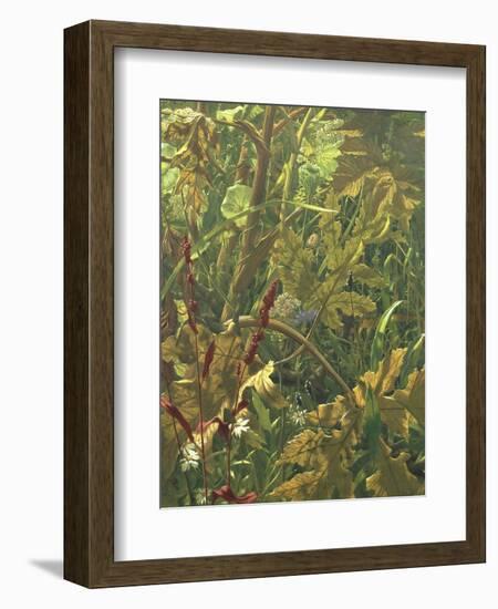 Undergrowth-Eliot Hodgkin-Framed Giclee Print