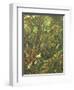 Undergrowth-Eliot Hodgkin-Framed Giclee Print