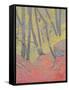 Undergrowth-Paul Serusier-Framed Stretched Canvas