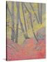 Undergrowth-Paul Serusier-Stretched Canvas