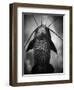 Underneath a Catfish-Henry Horenstein-Framed Photographic Print