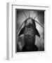 Underneath a Catfish-Henry Horenstein-Framed Photographic Print