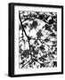 Underneath II-Jeff Pica-Framed Photographic Print