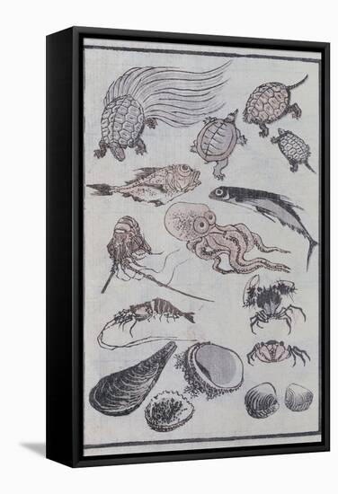 Undersea Creatures, from a Manga (Colour Woodblock Print)-Katsushika Hokusai-Framed Stretched Canvas