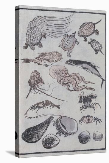 Undersea Creatures, from a Manga (Colour Woodblock Print)-Katsushika Hokusai-Stretched Canvas