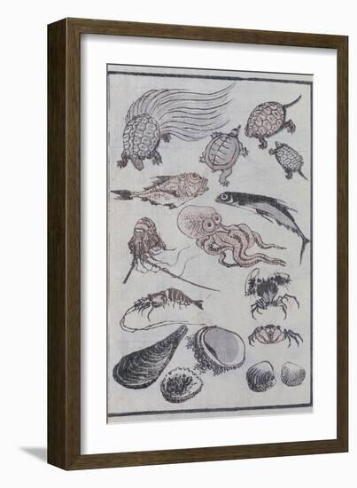 Undersea Creatures, from a Manga (Colour Woodblock Print)-Katsushika Hokusai-Framed Giclee Print