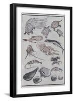 Undersea Creatures, from a Manga (Colour Woodblock Print)-Katsushika Hokusai-Framed Giclee Print