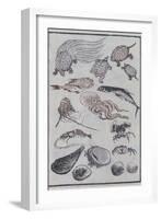 Undersea Creatures, from a Manga (Colour Woodblock Print)-Katsushika Hokusai-Framed Giclee Print