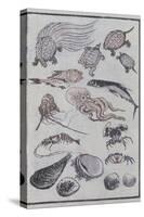 Undersea Creatures, from a Manga (Colour Woodblock Print)-Katsushika Hokusai-Stretched Canvas