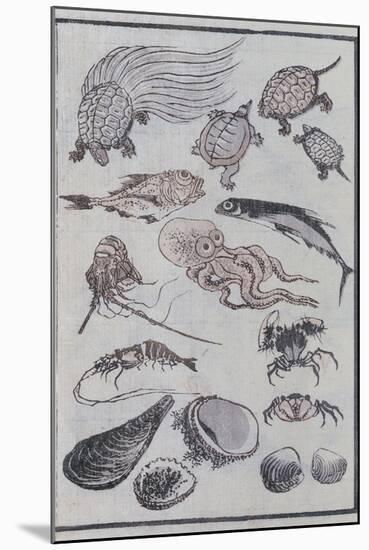 Undersea Creatures, from a Manga (Colour Woodblock Print)-Katsushika Hokusai-Mounted Giclee Print