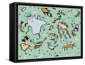 Undersea Creatures-Carla Martell-Framed Stretched Canvas