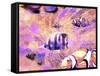 Undersea LVI-Fernando Palma-Framed Stretched Canvas