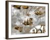 Undersea LVII-Fernando Palma-Framed Giclee Print