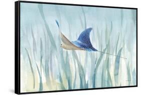 Undersea Ray-Danhui Nai-Framed Stretched Canvas