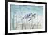 Undersea Turtle-Danhui Nai-Framed Art Print