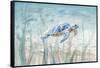 Undersea Turtle-Danhui Nai-Framed Stretched Canvas