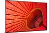 Underside of Red Japanese Parasol-Sam Chadwick-Mounted Photographic Print