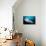 Underside View of a Giant Oceanic Manta Ray, Raja Ampat, Indonesia-null-Photographic Print displayed on a wall