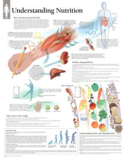 Poster, , large