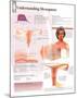 Understanding Menopause Educational Anatomy Poster-null-Mounted Poster