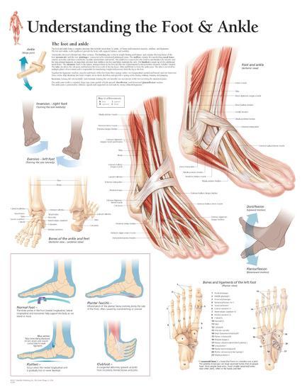 Poster, , large