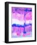 Undertow II-Jacqueline Maldonado-Framed Art Print