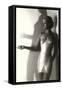 Underware Model in Merry Widow-null-Framed Stretched Canvas