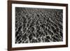 Underwater 1-Lee Peterson-Framed Photographic Print