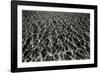 Underwater 1-Lee Peterson-Framed Photographic Print