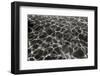 Underwater 2-Lee Peterson-Framed Photographic Print