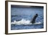 Underwater African Elephant Trunk, Chobe National Park, Botswana-Paul Souders-Framed Photographic Print