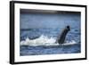 Underwater African Elephant Trunk, Chobe National Park, Botswana-Paul Souders-Framed Photographic Print