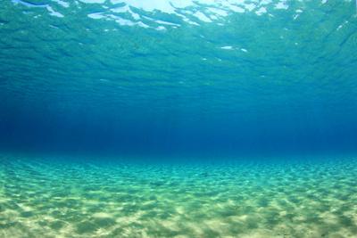 Underwater Background in Ocean' Photographic Print - Rich Carey |  