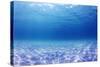 Underwater Background in the Sea-Rich Carey-Stretched Canvas