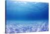 Underwater Background in the Sea-Rich Carey-Stretched Canvas