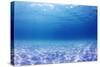 Underwater Background in the Sea-Rich Carey-Stretched Canvas