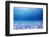 Underwater Background in the Sea-Rich Carey-Framed Premium Photographic Print