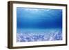 Underwater Background in the Sea-Rich Carey-Framed Photographic Print