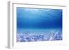 Underwater Background in the Sea-Rich Carey-Framed Photographic Print