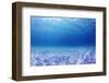 Underwater Background in the Sea-Rich Carey-Framed Photographic Print