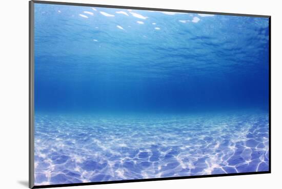 Underwater Background in the Sea-Rich Carey-Mounted Photographic Print